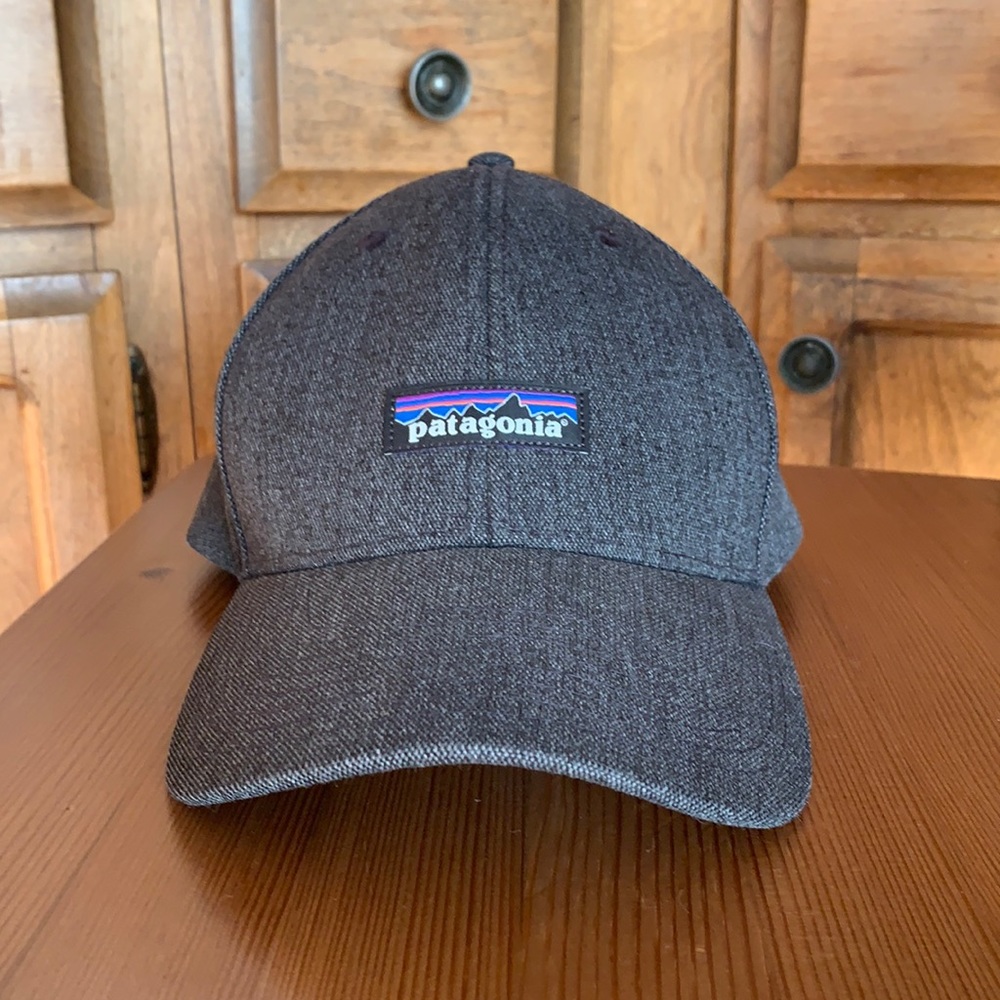 Patagonia trucker hat
